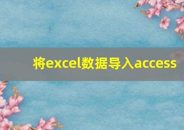 将excel数据导入access