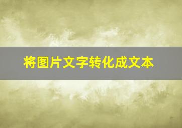 将图片文字转化成文本