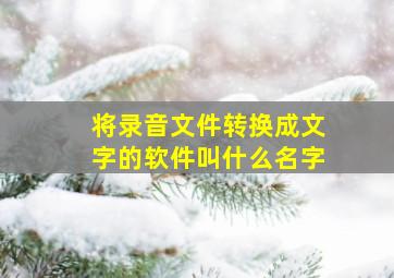 将录音文件转换成文字的软件叫什么名字