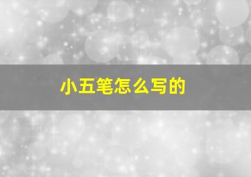 小五笔怎么写的