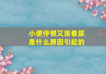 小便停顿又接着尿是什么原因引起的