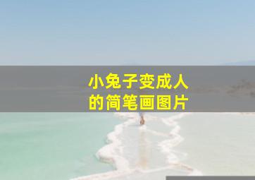 小兔子变成人的简笔画图片