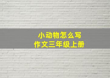 小动物怎么写作文三年级上册