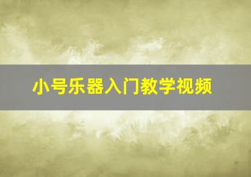 小号乐器入门教学视频