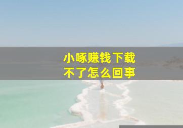 小啄赚钱下载不了怎么回事