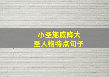 小圣施威降大圣人物特点句子