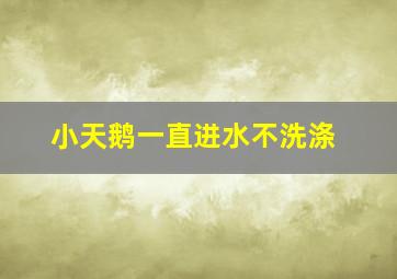 小天鹅一直进水不洗涤