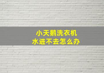 小天鹅洗衣机水进不去怎么办