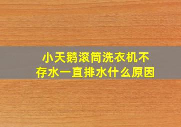 小天鹅滚筒洗衣机不存水一直排水什么原因