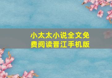 小太太小说全文免费阅读晋江手机版