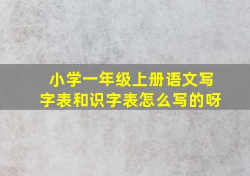 小学一年级上册语文写字表和识字表怎么写的呀