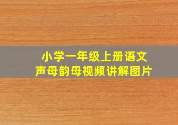 小学一年级上册语文声母韵母视频讲解图片