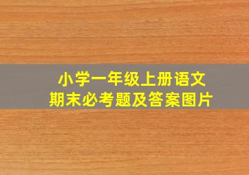 小学一年级上册语文期末必考题及答案图片