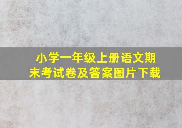 小学一年级上册语文期末考试卷及答案图片下载