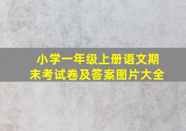 小学一年级上册语文期末考试卷及答案图片大全