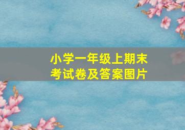 小学一年级上期末考试卷及答案图片