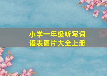 小学一年级听写词语表图片大全上册