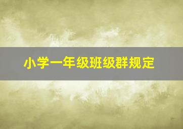 小学一年级班级群规定