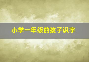 小学一年级的孩子识字