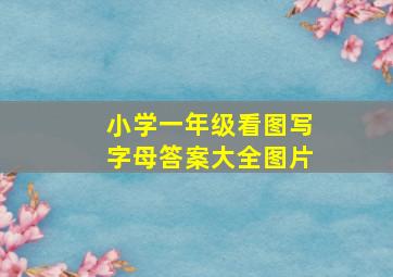 小学一年级看图写字母答案大全图片