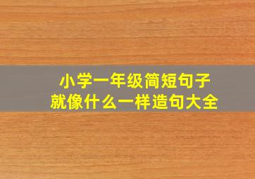 小学一年级简短句子就像什么一样造句大全