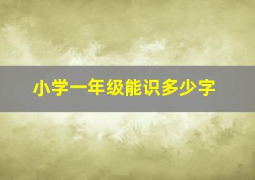 小学一年级能识多少字