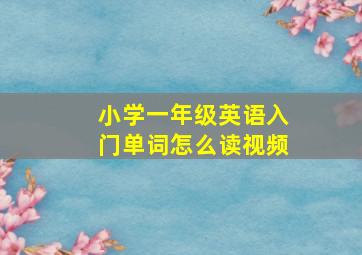 小学一年级英语入门单词怎么读视频