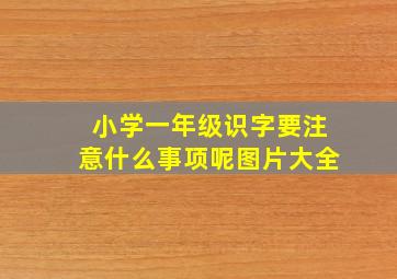 小学一年级识字要注意什么事项呢图片大全