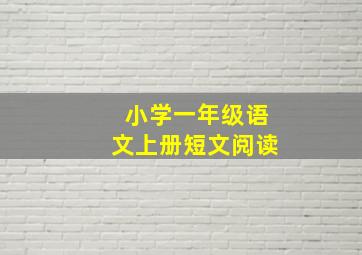 小学一年级语文上册短文阅读