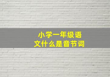 小学一年级语文什么是音节词