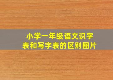 小学一年级语文识字表和写字表的区别图片