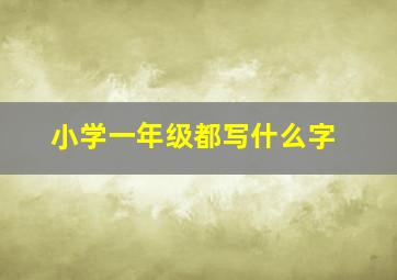 小学一年级都写什么字