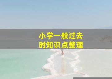 小学一般过去时知识点整理