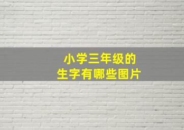 小学三年级的生字有哪些图片