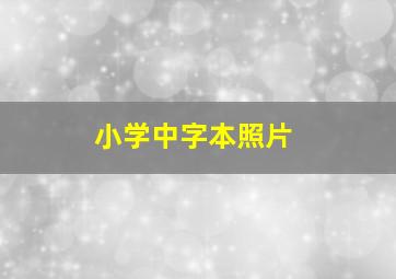 小学中字本照片