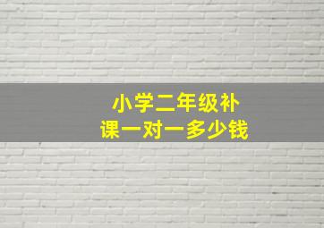 小学二年级补课一对一多少钱