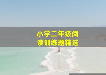 小学二年级阅读训练题精选