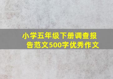 小学五年级下册调查报告范文500字优秀作文