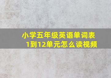 小学五年级英语单词表1到12单元怎么读视频