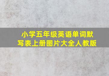 小学五年级英语单词默写表上册图片大全人教版