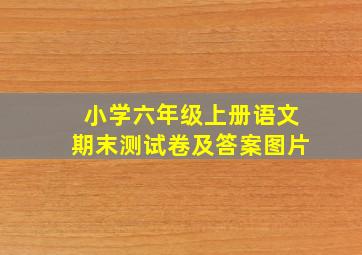 小学六年级上册语文期末测试卷及答案图片