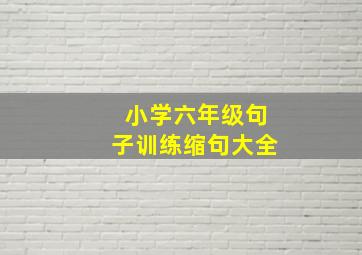 小学六年级句子训练缩句大全