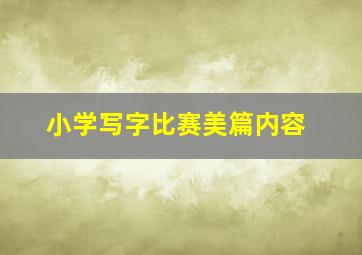 小学写字比赛美篇内容