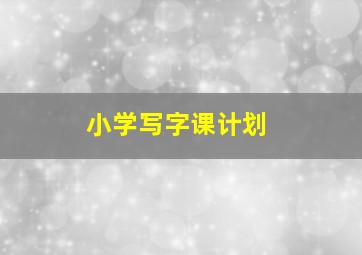 小学写字课计划