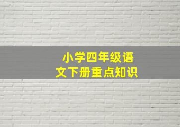 小学四年级语文下册重点知识