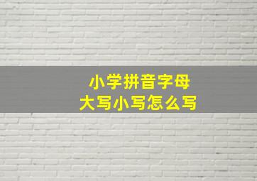 小学拼音字母大写小写怎么写