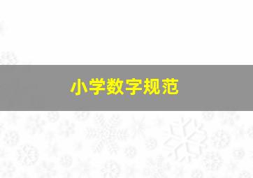 小学数字规范