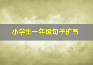 小学生一年级句子扩写