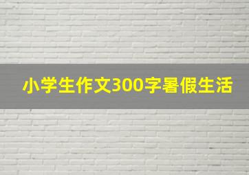 小学生作文300字暑假生活