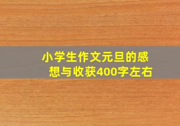 小学生作文元旦的感想与收获400字左右